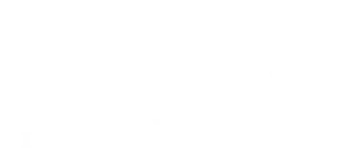 Latvijas Valsts Meži logo